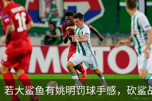 若大鲨鱼有姚明罚球手感，砍鲨战术或改变历史！奥尼尔少拿多少？